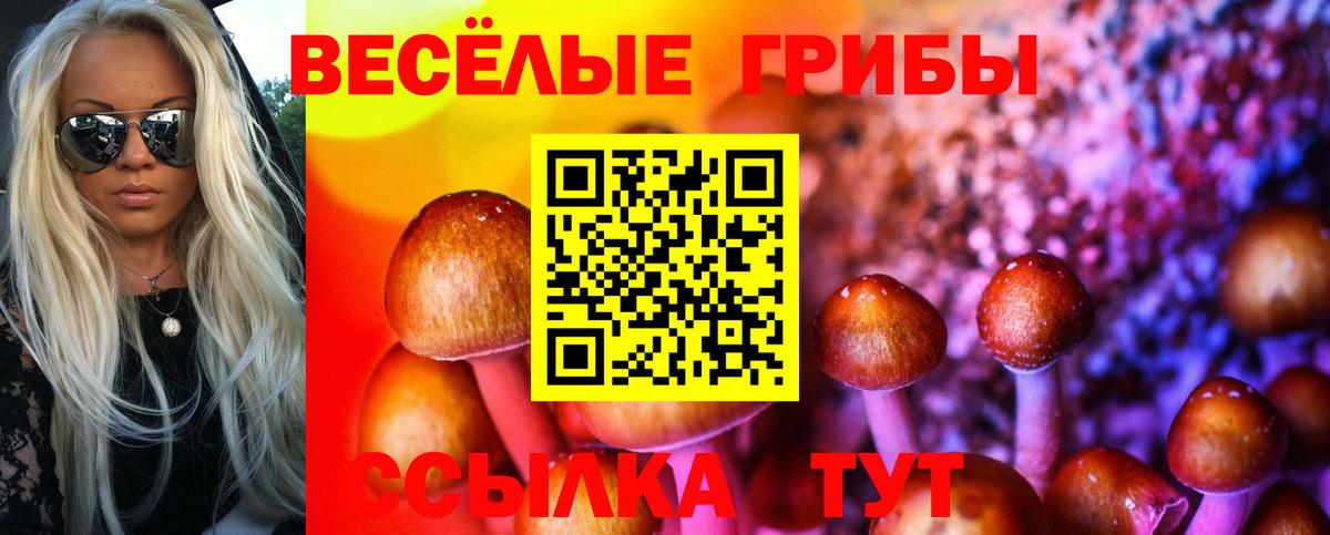 Гагарин  Галлюциногенные грибы MAGIC MUSHROOMS  Псилоцибиновые грибы Psilocybine cubensis  Вход с VPN 