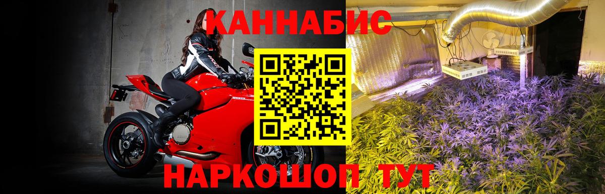 Бошки Шишки сатива Гагарин